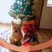 Deborah Holt - Facebook