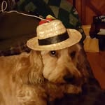 Deborah Hood - @deborah.hood.73594 - Instagram