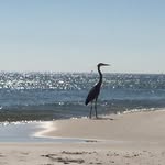 Deborah Hood: RE/MAX - @deborahhoodrealtor - Instagram
