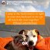 Debora Horn - Facebook
