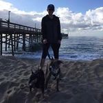 Debora Howe Halbert - @turtle_deb - Instagram