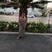 Deborah Howe - Facebook