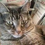 Deborah Owens - @deborahowens8333 - Instagram