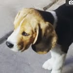 Débora Hunter - @debora.hunter.eu - Instagram