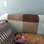 Deborah Hunter - @deborah.hunter.52 - Instagram