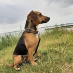 Debora Jansen - @jansen1552 - Instagram