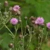 Deborah Johns - @deborah.johns2 - TikTok