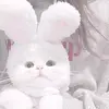 DeborahJohns - @deborahjohnsvvwqnvis - TikTok