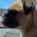 Debora Jones - Facebook