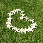 Debora Joyce - Facebook