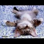 Débora Kaneshiro - @deborakaneshiro - Instagram