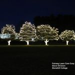 Debora Katz - @fairwaylandscapinglawncare - Instagram