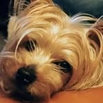 Debora Kemp - @deborakemp27 - Instagram