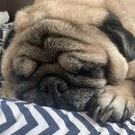 Debora Mac Knight - @debyknight - Instagram