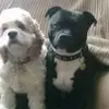 deborahlambert89 - @deborahlambert89 - TikTok