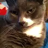 deborahlang52 - @deborahlang52 - TikTok