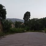 Debora Larosa - @larosa1531 - Instagram