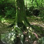 Deb Linklater - @deboralinklee - Instagram