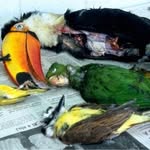 debora little - @debby0601w - Instagram