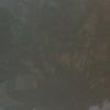 deborahlovato655 - @deborahlovato655 - TikTok