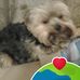 Deborah Lutz - Facebook