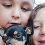 Debora Mancuso - @debora.mancuso.140 - Instagram