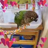Deborah Manning - @deborah.manning21 - TikTok