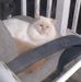 Debora May - Facebook