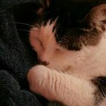 @deborah_morris - Instagram