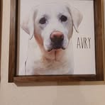 Debora Parker - Facebook