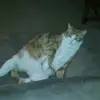 Deborah Reeves - @deborah.reeves24 - TikTok