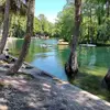 deborahreeves8 - @deborahreeves8 - TikTok