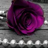 deborahschwartz16 - @deborahschwartz16 - TikTok