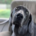 Deborah Shields Parks - @deborahshieldsparks - Instagram