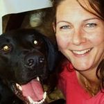 Deborah Thom Shields - @deborah.t.shields - Instagram