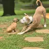 Deb - @deborah.stone7 - TikTok