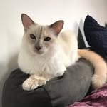 Debora Wagner - @deborawagner71 - Instagram