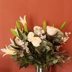 Debora Walker - Facebook