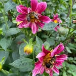 Debora Warren - @55jeannie73 - Instagram