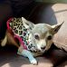 Debora Warren - Facebook