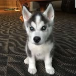 Deborah Warren - @deborah.warren.5680 - Instagram