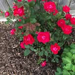 Deborah Warren - @deborah.warren.7121 - Instagram