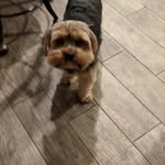Deborah Abrams - @dibabrams74 - Instagram