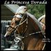 Deborah Abrams - Facebook