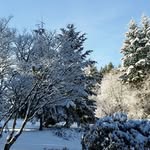 Deborah Abrams - @deborah.abrams.35 - Instagram