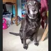 deborahaddison368 - @deborahaddison368 - TikTok