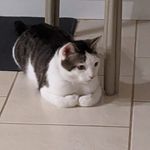 Deborah Aitken - @deborah.aitken.37 - Instagram