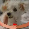 deborahaitken676 - @deborahaitken676 - TikTok