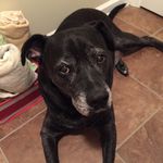 Deborah Akers - @deborahlakers - Instagram