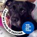 Deborah Akers - Facebook